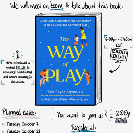 Book cover of The Way of Play